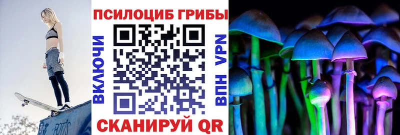сколько стоит  Медынь  Галлюциногенные грибы GOLDEN TEACHER 